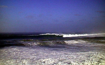98128waimea