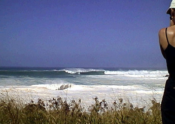 98128waimea8