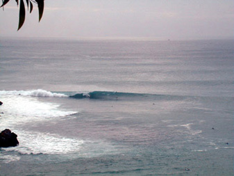 DSC00037