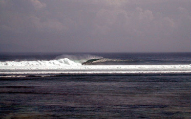 DSC00078