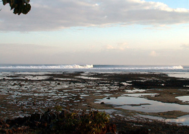 DSC00083